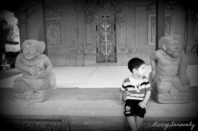 DSC07081A