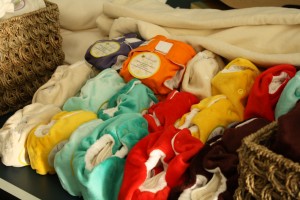 Baby Beehinds Nappies